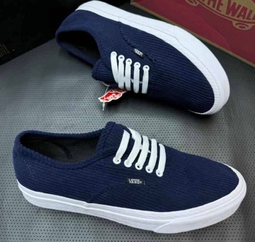 Vans Authentiques en toile