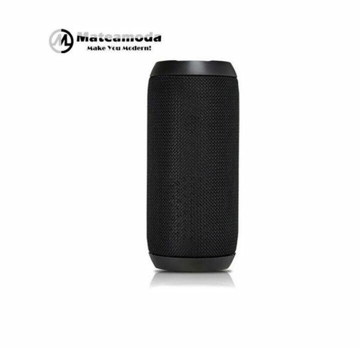 Enceinte Bluetooth Portable Puissante