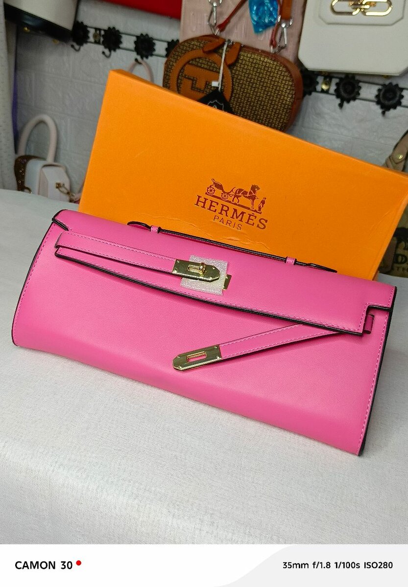 Élégant sac en cuir coloré