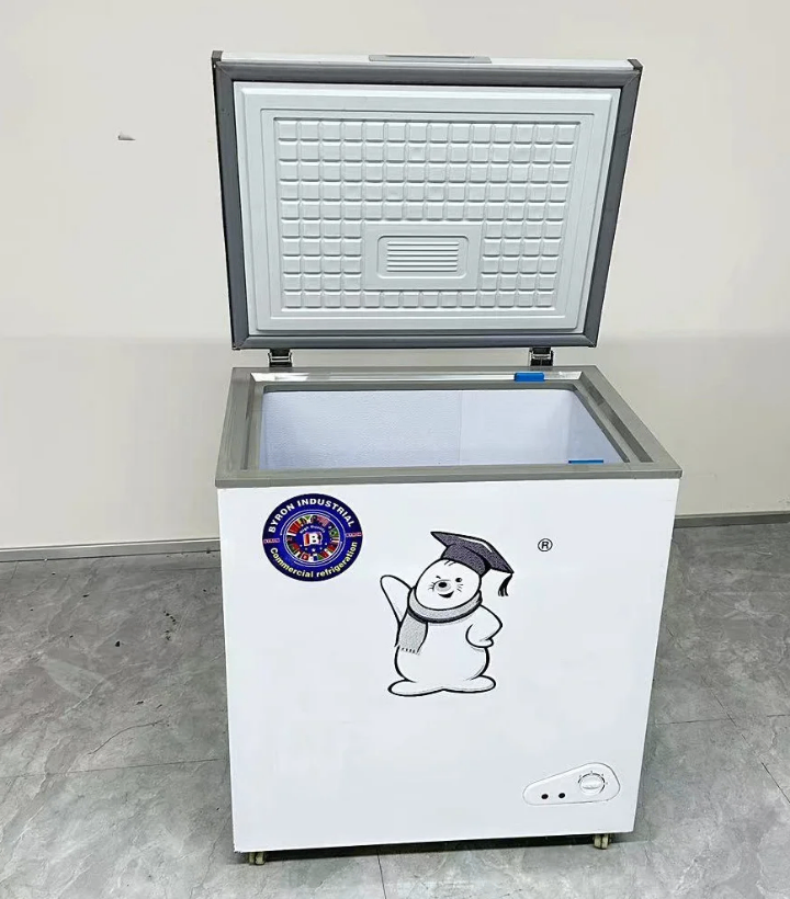 Congélateur coffre grande capacité