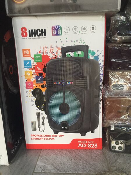 Enceinte Bluetooth portable AO-828 8 pouces