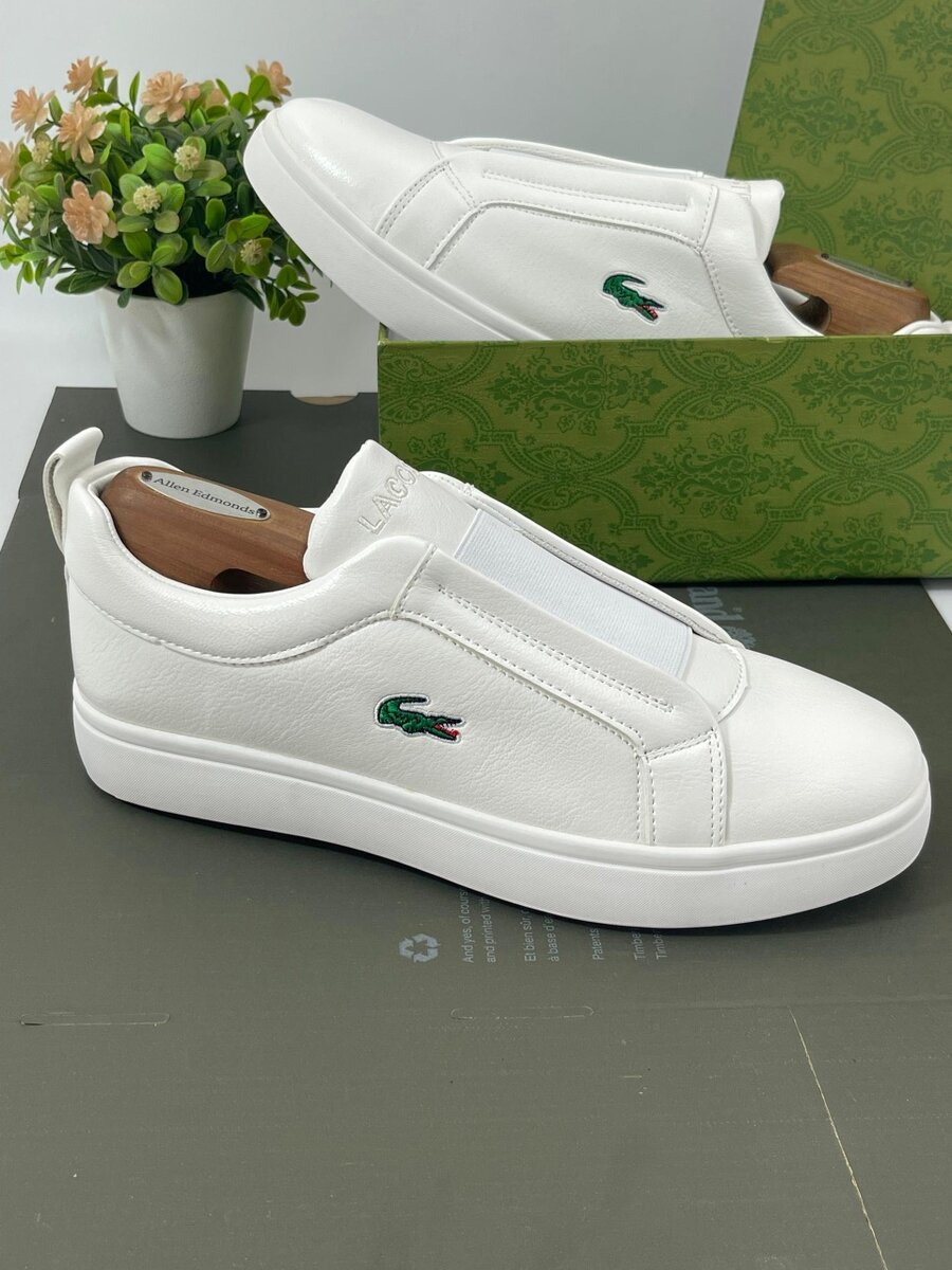 LACOSTE CLASSIC WEAR
