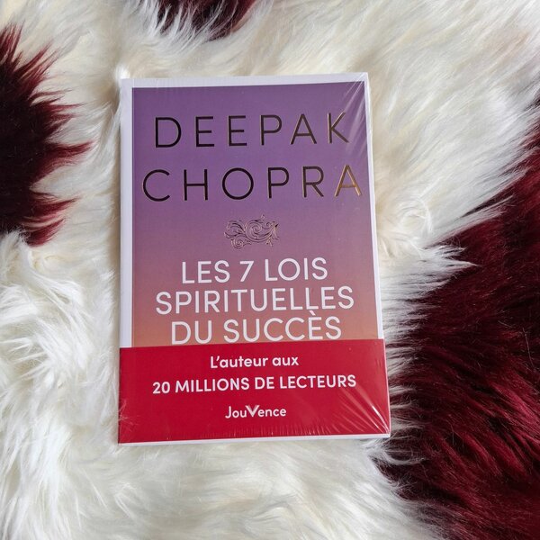 Les 7 Lois Spirituelles du Succès