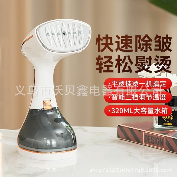 Garment Steamer