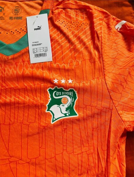 Maillot Côte d'Ivoire Puma