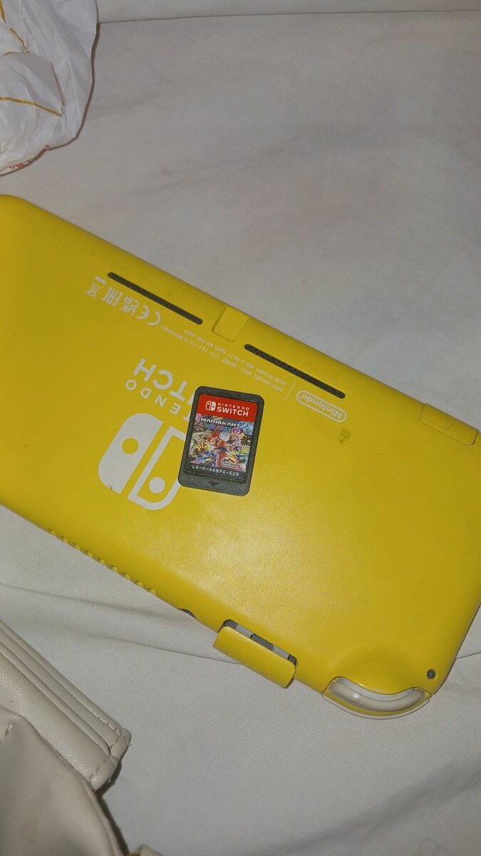 Nintendo switch lite