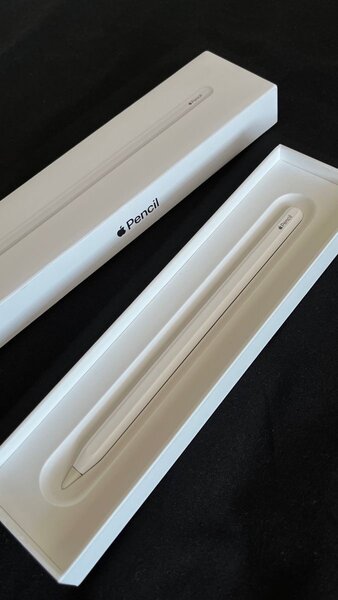 Apple Pencil pour iPad