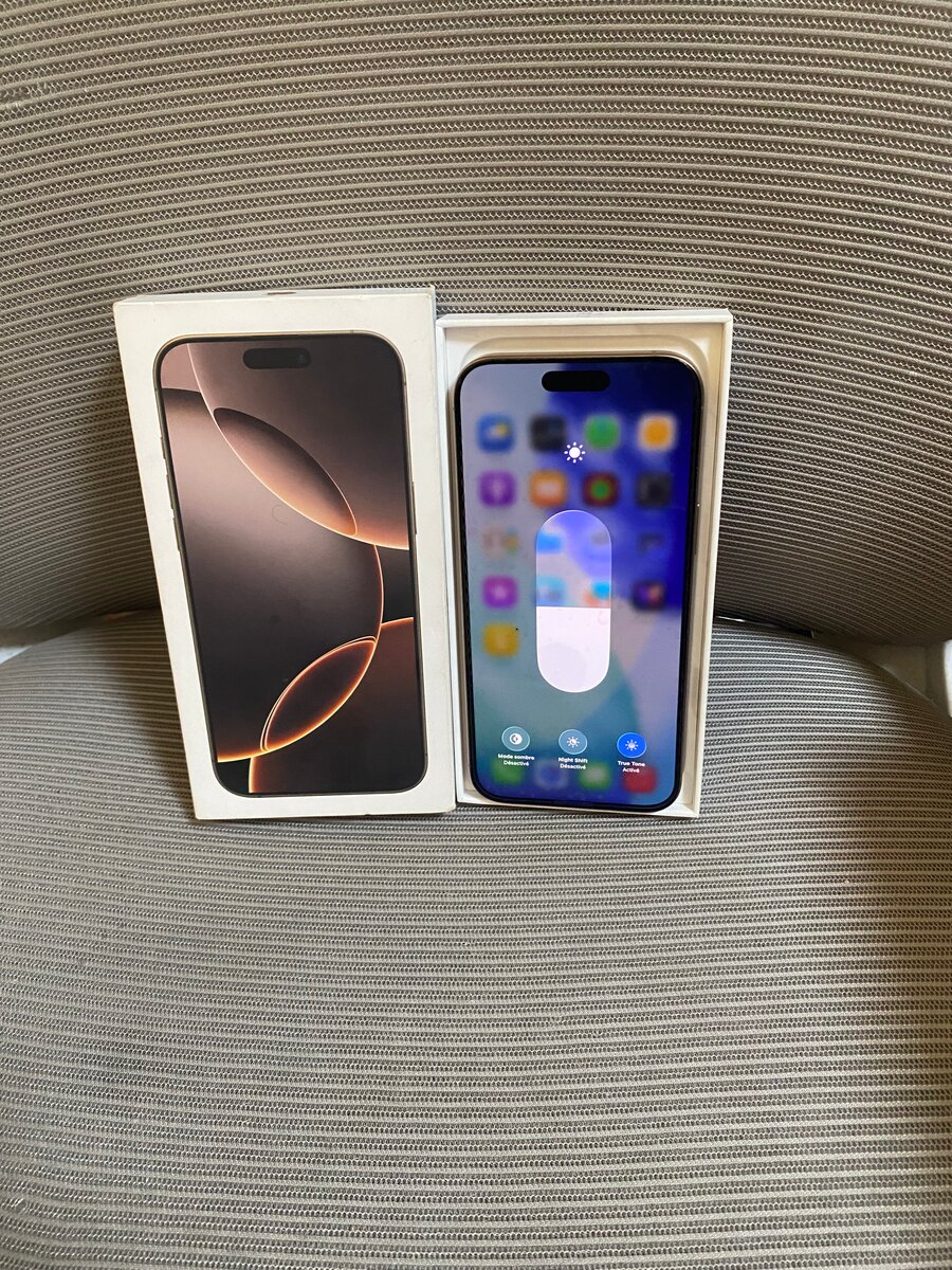 iPhone 16 Pro Max  256Go