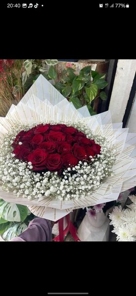 Bouquet de roses rouges avec gypsophile