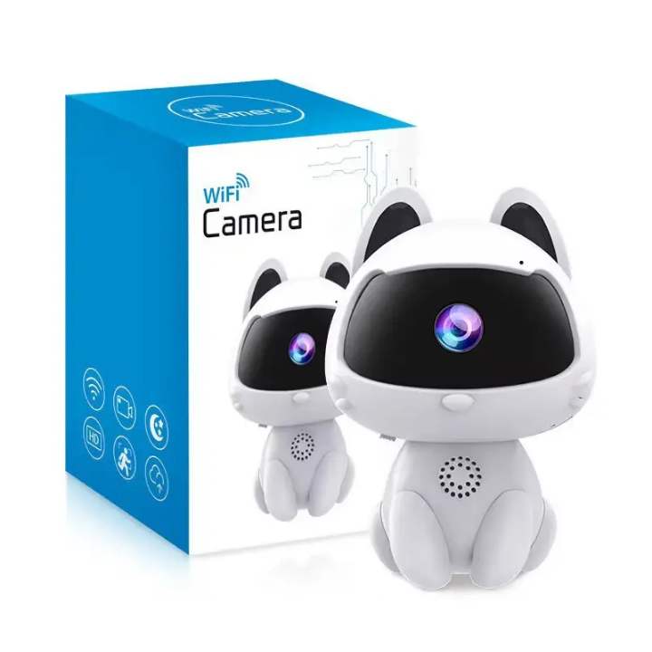 Caméra espion HD 1080P