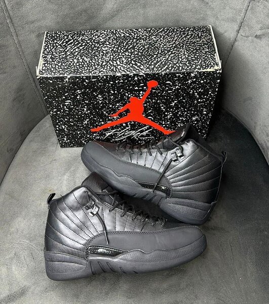 Jordan 12 retro