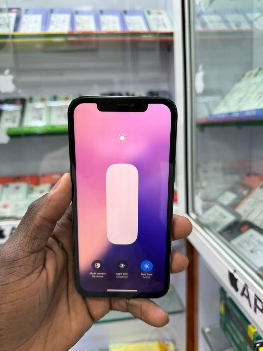 iphone 12 pro max 256 giga