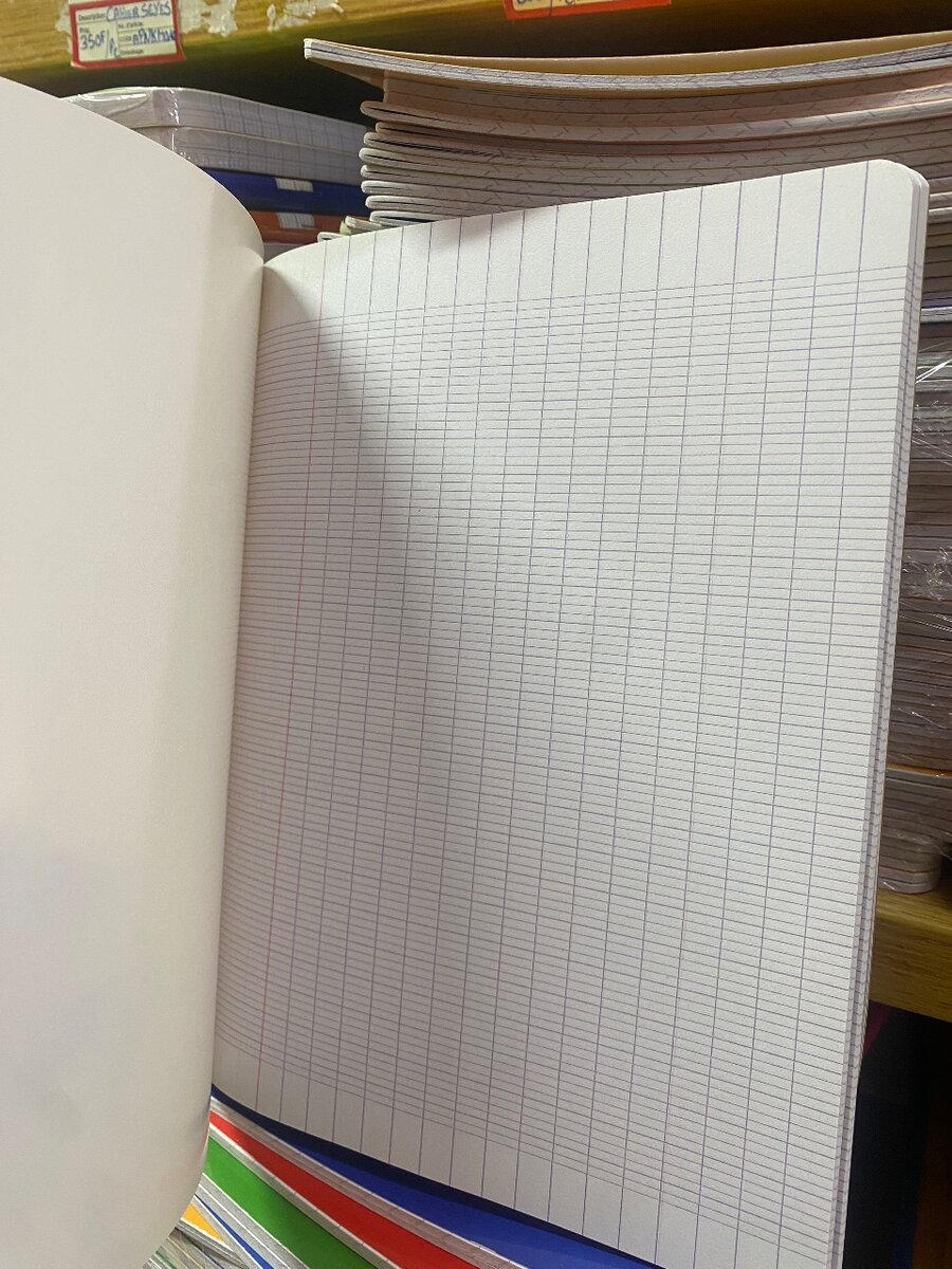 Cahier M&G polypro 100pg