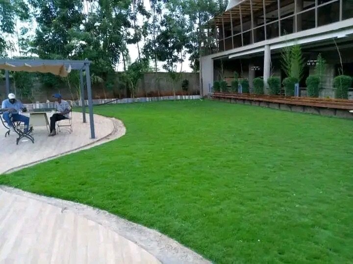 Natural Grass installation(Per square meter)