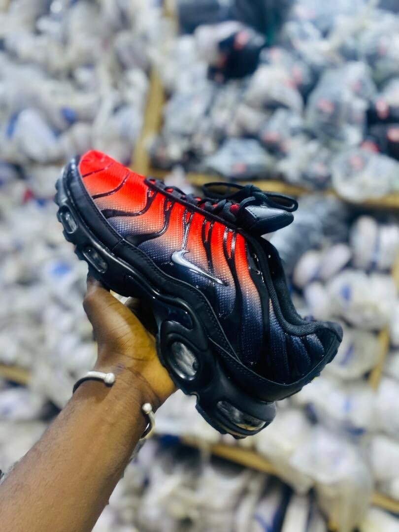 Baskets Air Max pour Hommes