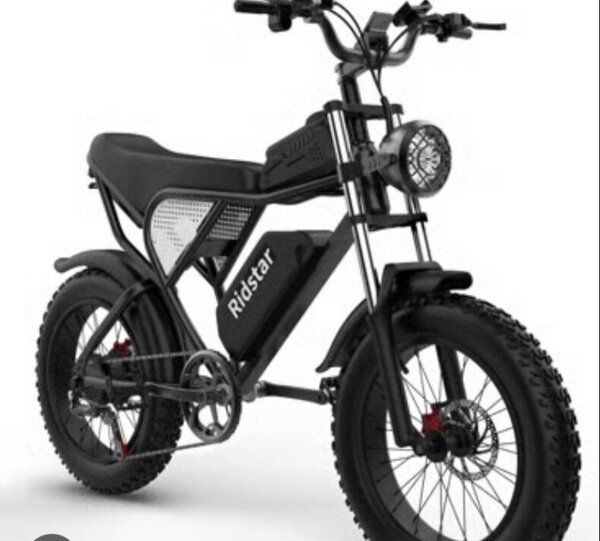 Vélo électrique tout-terrain Rebel