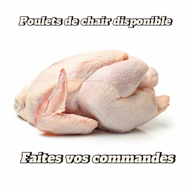 Poulet frais prêt à cuire