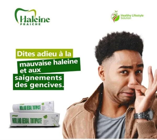Dentifrice Herbal Norland