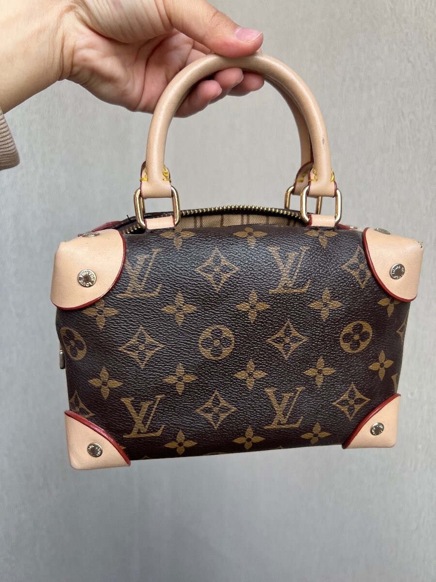 Сумка Louis Vuıtton