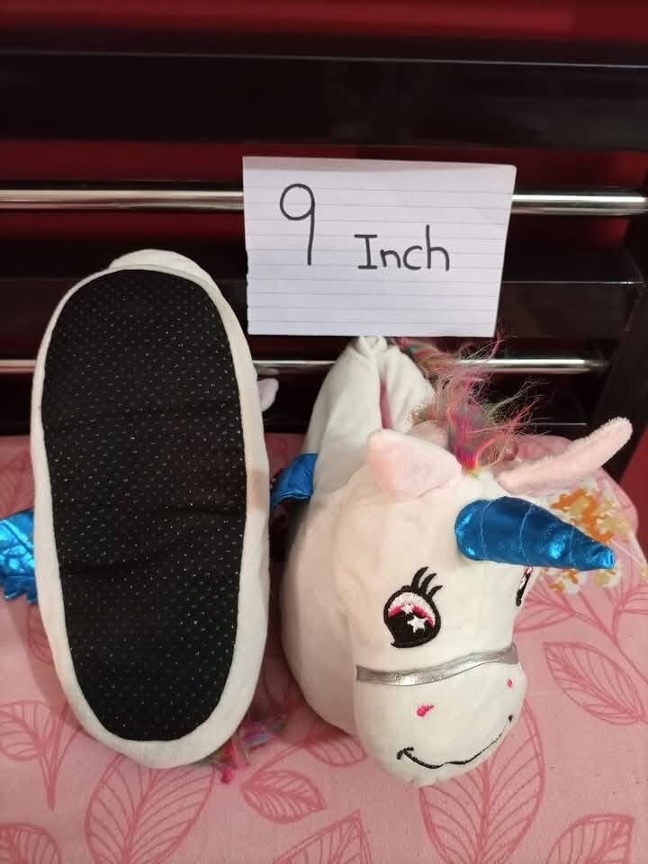 Ladies slippers