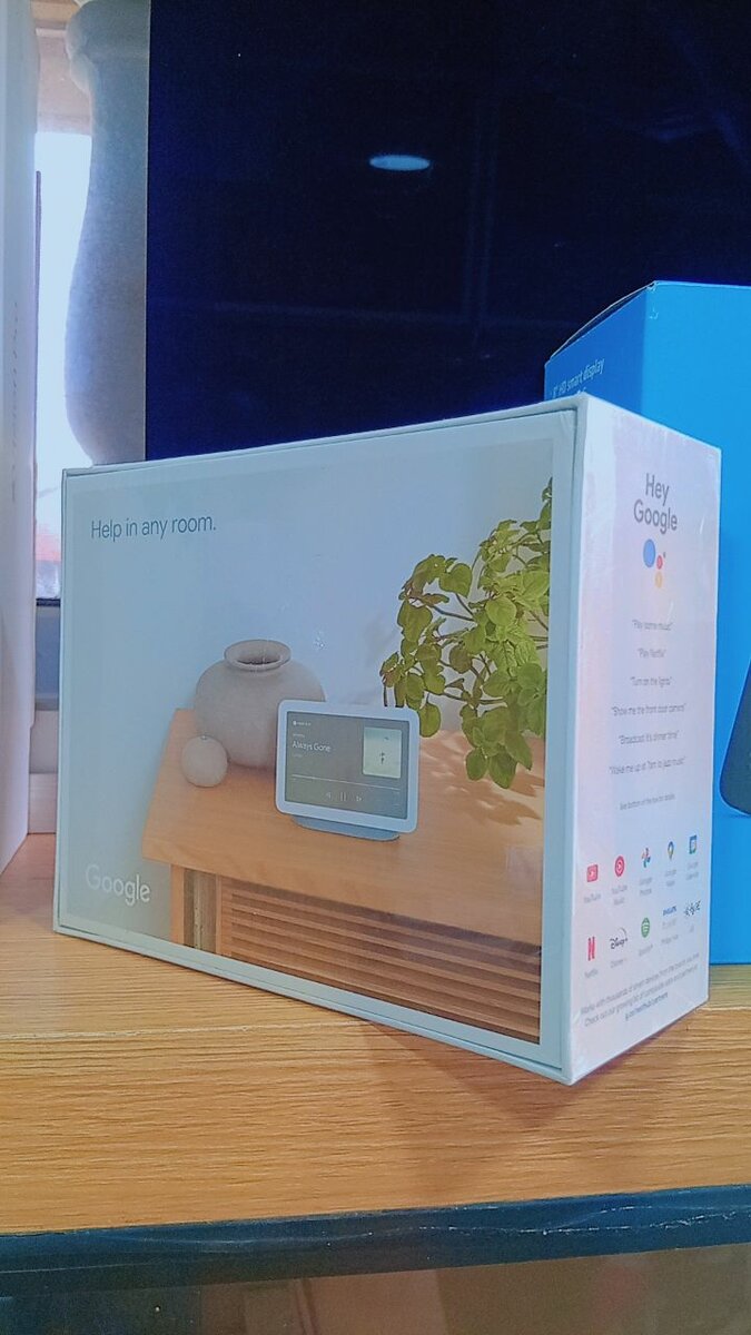 Google Nest Hub