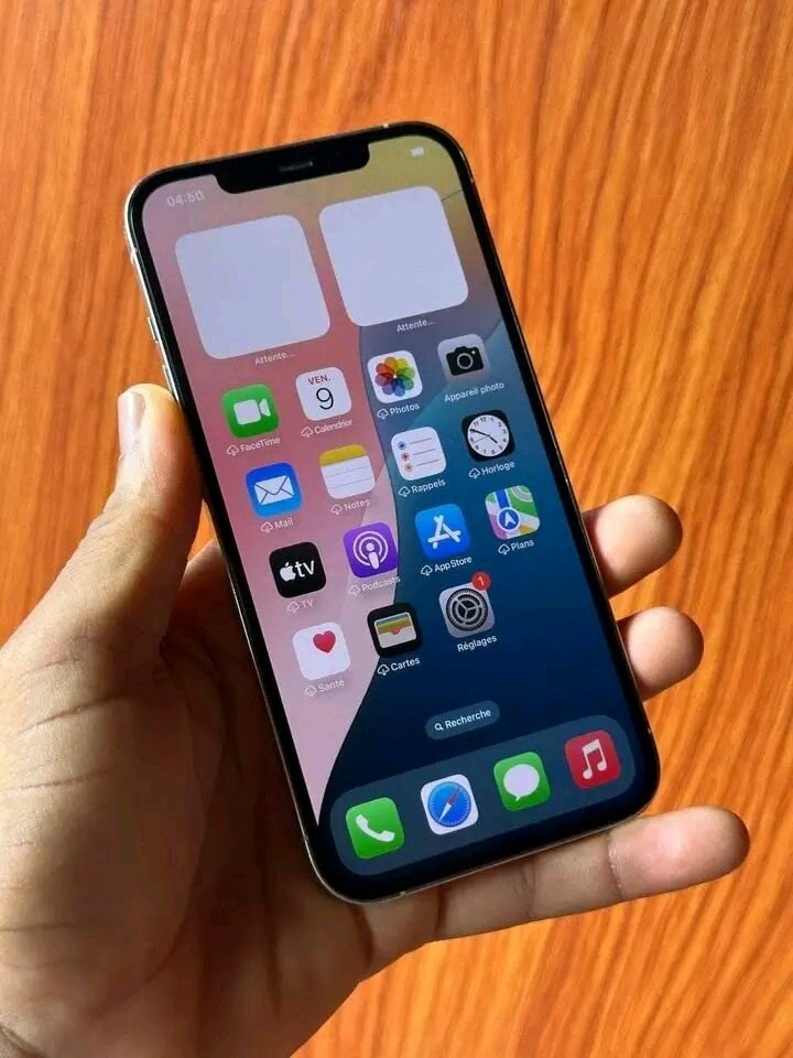 iPhone 12 Pro max
