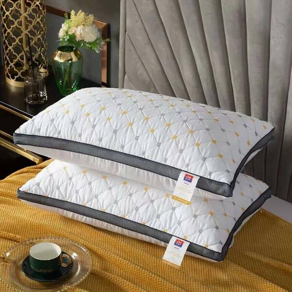 Oreiller coussin