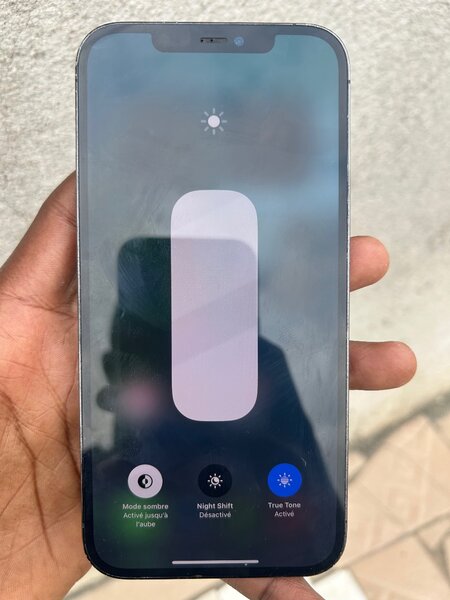 iPhone 12 Pro Max  Bleu 128Go