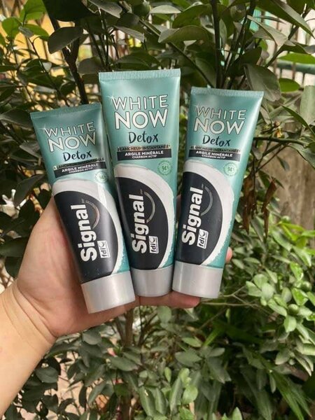 Dentifrice Signal Detox Blancheur