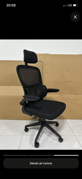 Chaise Ergonomique de Bureau