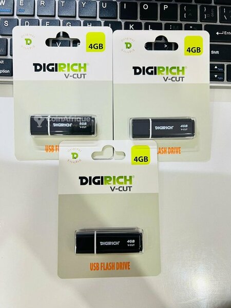 Clé USB 4GB DIGIRICH V-Cut