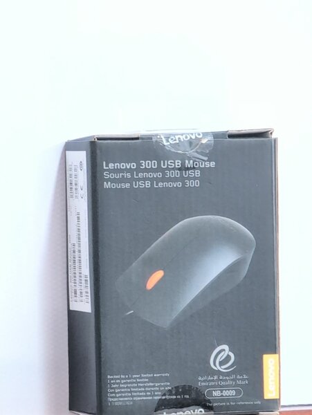 Souris Lenovo 300 USB