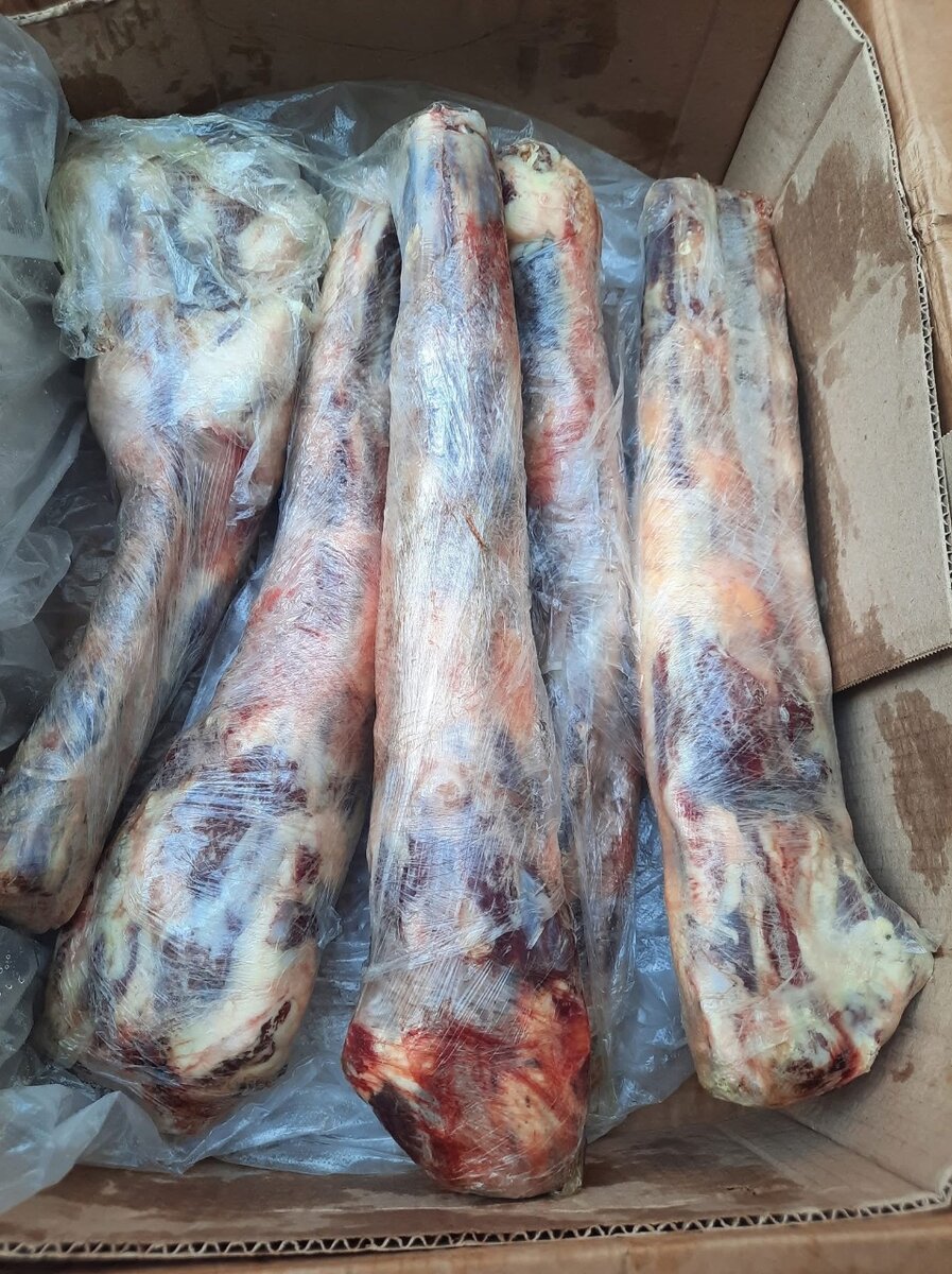 Queue de bœuf frais ou fumé