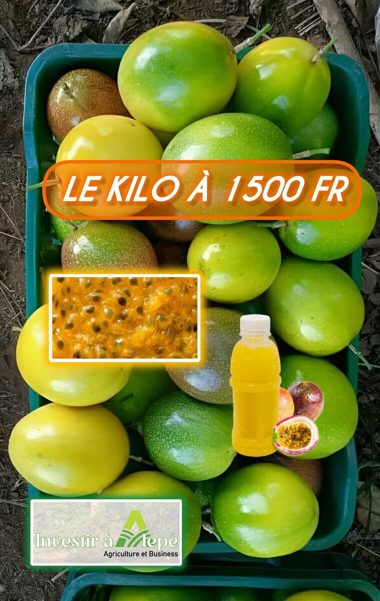 Fruits de la passion frais