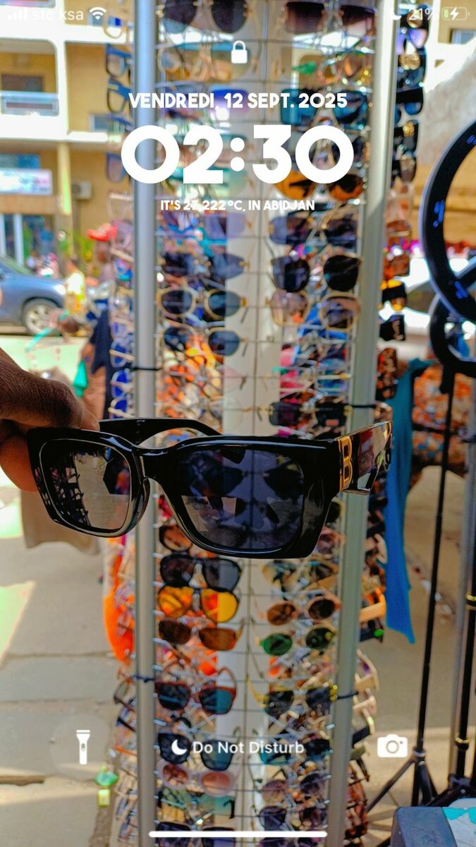 Lunettes de Soleil Élégantes