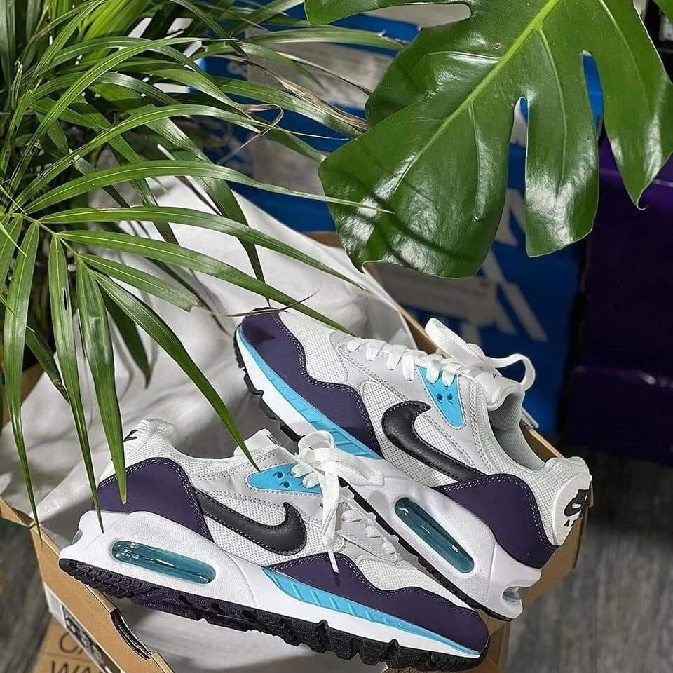 Baskets Nike Air Max