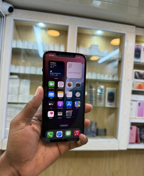 iPhone 12 Pro Max