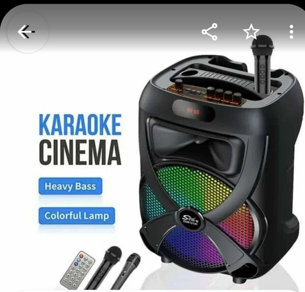 Haut parleur bluetooth portable sans fil pour karaoké audio