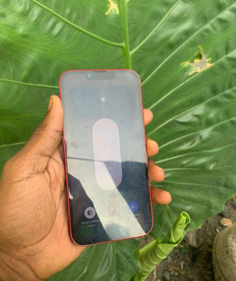 Coque iPhone 13 Apple rouge