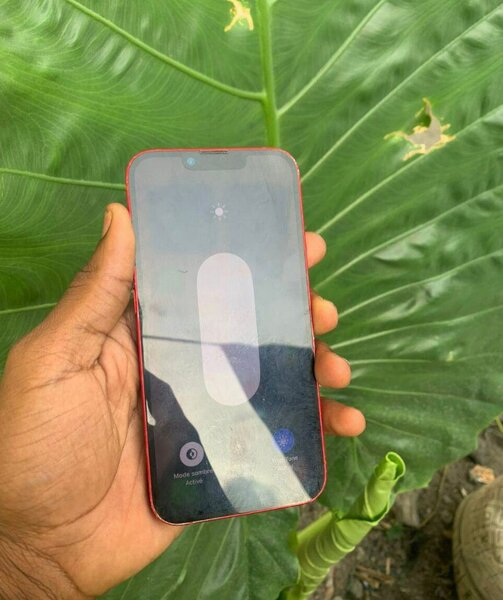 Coque iPhone 13 Apple rouge