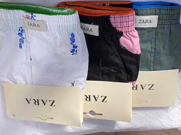 Zara Boxer Shorts/Pants