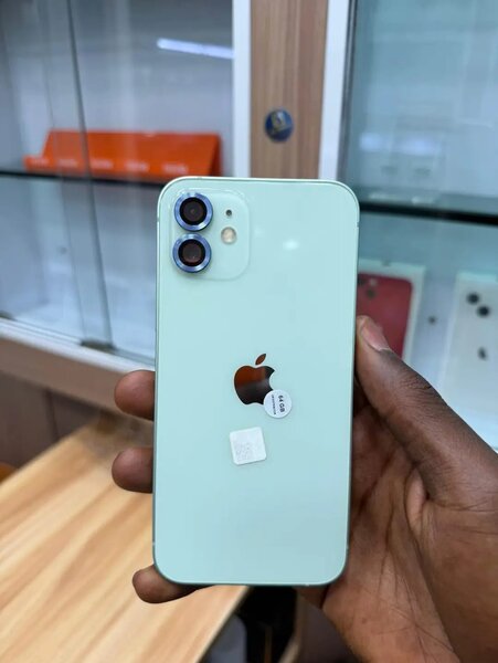 iPhone 12 Pro Max - Mint