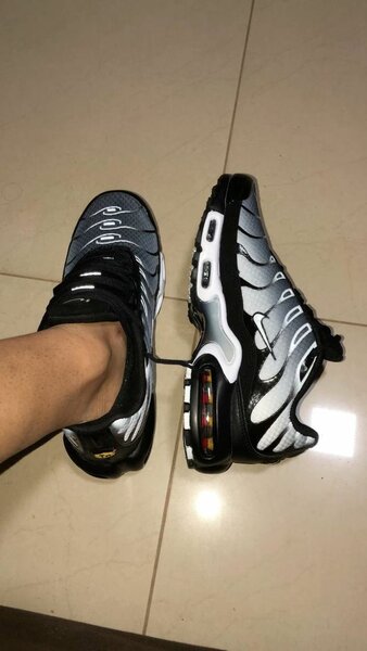Nike Air Max Tn Requin