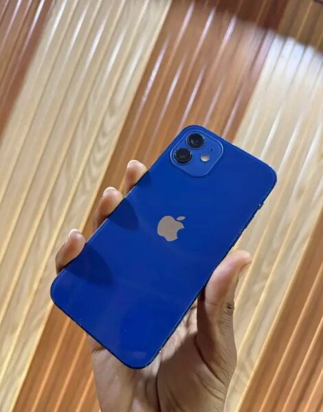 iPhone 12 64Go Bleu