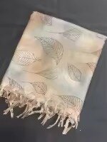Print Pashmina shawls from women's winter collection
