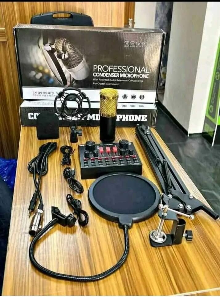 Microphone condensateur professionnel