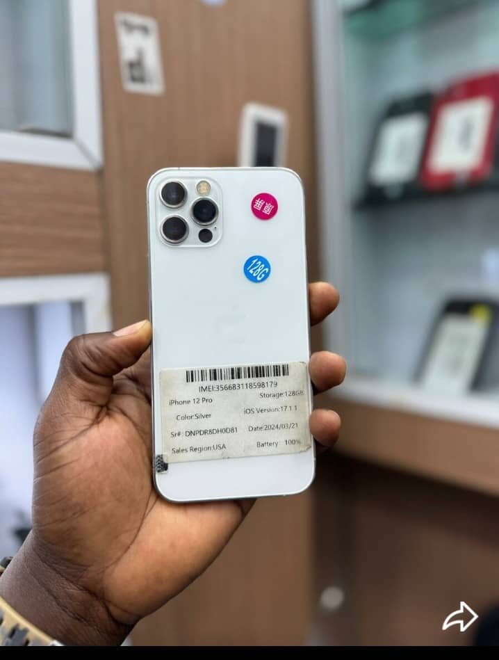 iPhone 12 Pro Max - Argent