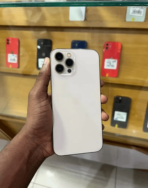 iPhone Pro Max Blanc