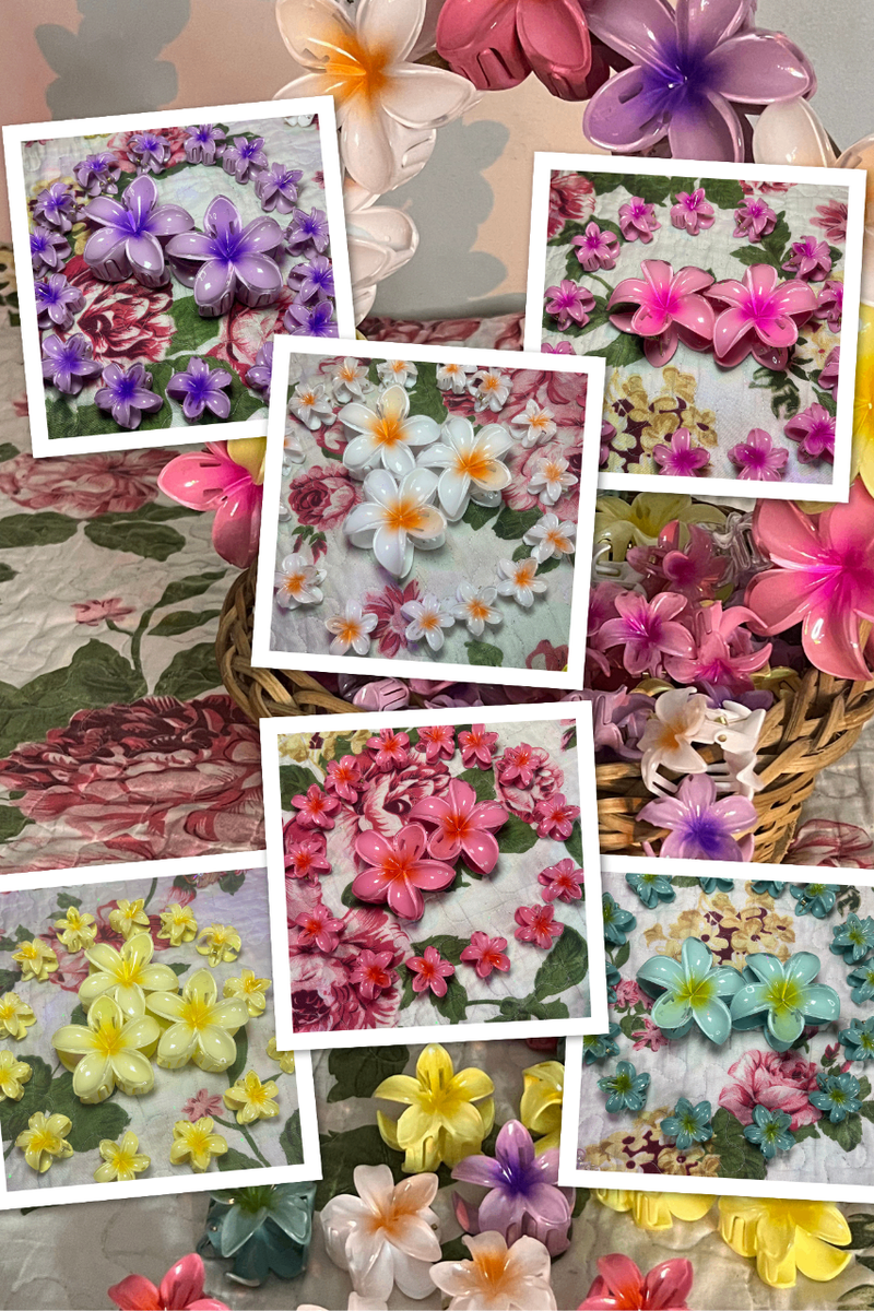 Pince à cheveux(Color Bae P)