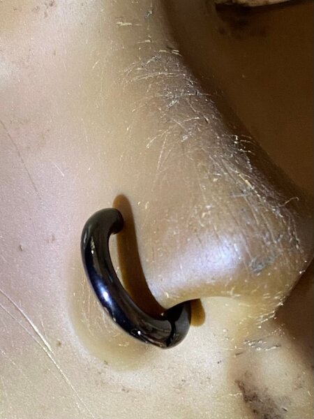 Faux anneau de nez